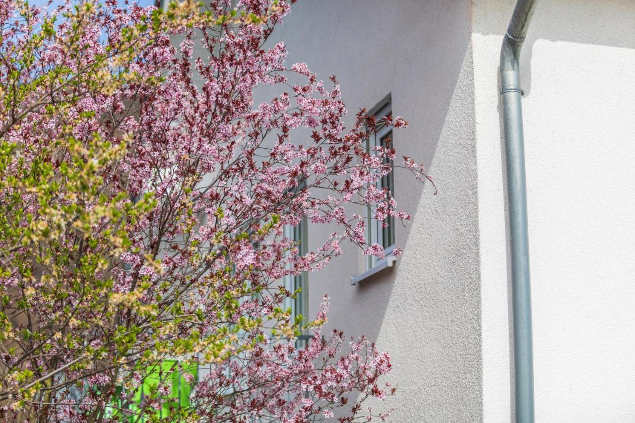Haus Flora - Ferienwohnungen Κόχεμ Εξωτερικό φωτογραφία